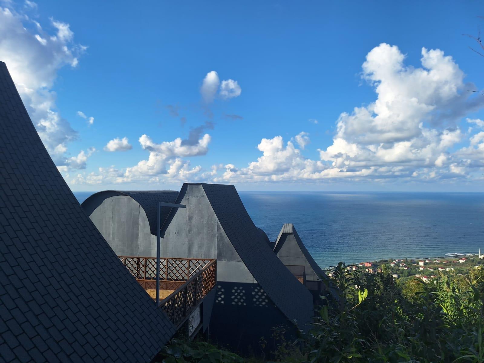 Experience Background